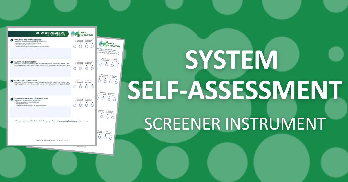 System Self-Assessment - Mira Education